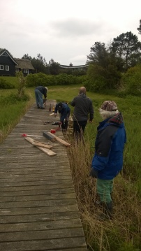 Basbjerg Grundejerforening - Langø